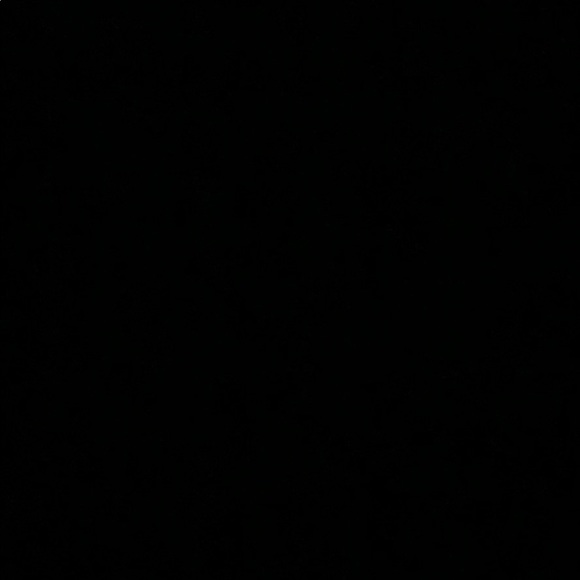 Meet your Posher, Anna - Picture 1 of 1